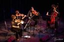 Instruments have Families Too! String Family: From Bach to Bluegrass