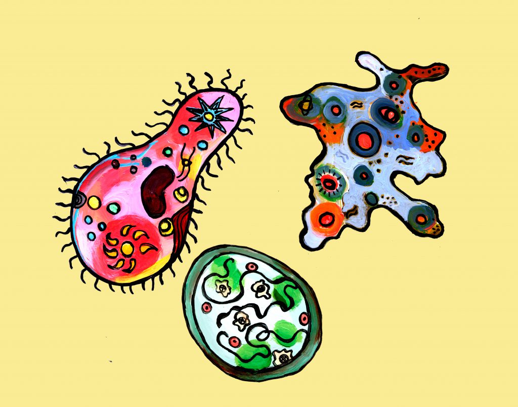 Abstract Amoebas and Single-Celled Organisms