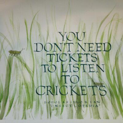 The Basics of Brush Lettering